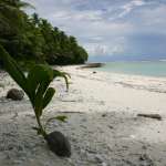 samoa