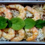 Bento 12 1
