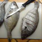 Poisson yassa 1