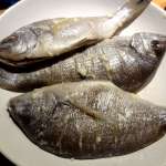 Poisson yassa 4