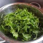 Salade australienne 1