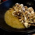 orzo 8