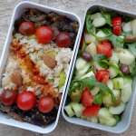 bento 14