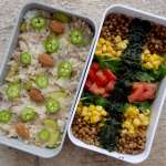 bento 15