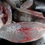 Soupe de poisson à la banane 13
