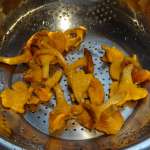 Tagliatelles girolles sauce crème à l&rsquo;amaretto 1