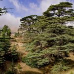 Liban
