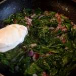 Omelette aux fanes de radis 8