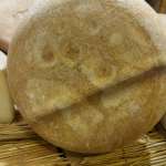 PATE DOURS