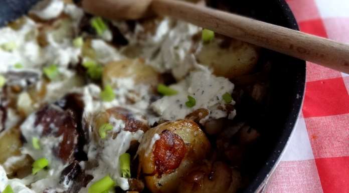 Champignons à la Narnia