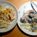 Effilochée de poissons 5