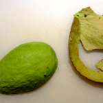 Fleur d&rsquo;avocat 3