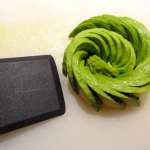 Fleur d&rsquo;avocat 9