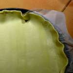 Quiche pommes de terre munster 1