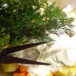 Salade lituanienne 7