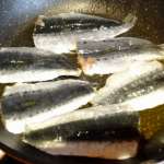 Sardines farcies 1
