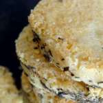 Sablés aux parmesan et thym 7