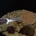 bircher muesli 8