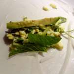 Rouleaux de printemps oeufs avocat menthe 10