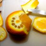 Salade d&rsquo;orange et avocat sauce au pavot 2