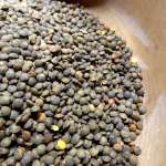 escalopes de lentilles 1