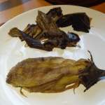 Omelette d&rsquo;aubergine 2
