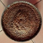 Gâteau aux dattes et noix de coco 15