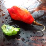 Sauce feuilles 5