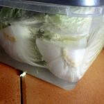kimchi 7