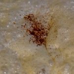 Nouilles bise aux pois gourmands 5