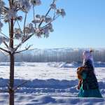 kazakh-2259538_1920