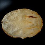 tortillas aux crudités 7