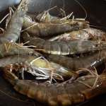 Gambas au chou et cumin 1