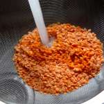 Salade de lentilles corail 1