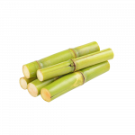 canne à sucre