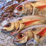 poissons