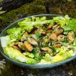 Moules de sa titine 0