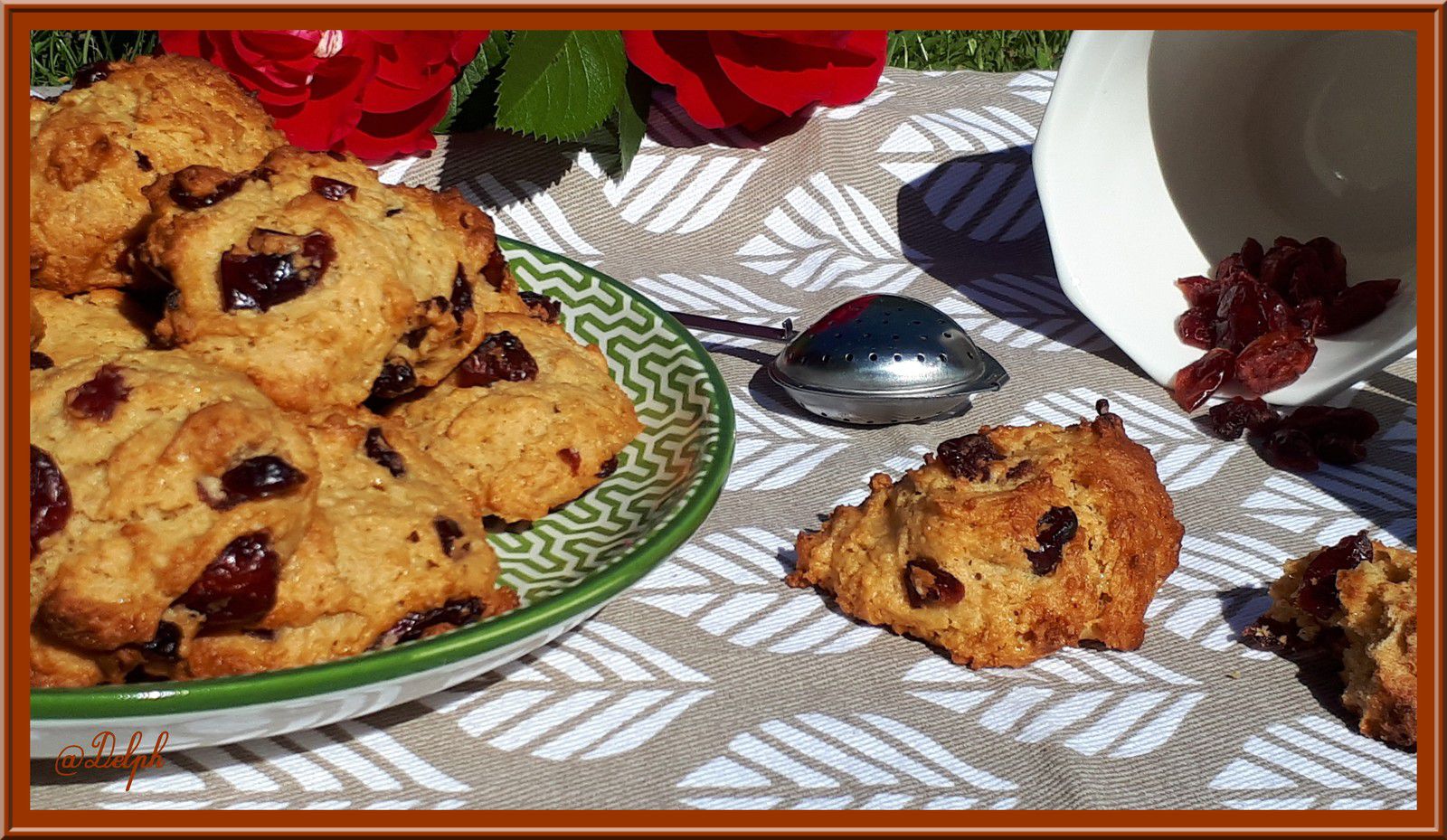 recettes canadiennes biscuits aux cranberries