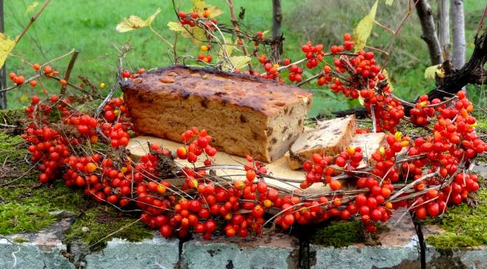 Gâteau aux coings épeautre amandes et raisins secs tranché