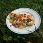 Omelette au thon et poivron 0