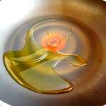 Saumon sauce crème à la truffe et blettes aux noix 3
