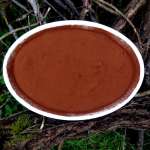 Tiramisu keto 14