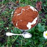 Tiramisu keto