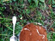 Tiramisu keto