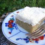 Gâteau keto à la noix de coco 0044 (2)