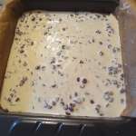 cheesecake keto aux pépites de chocolat 12