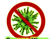 Coronavirus et système immunitaire