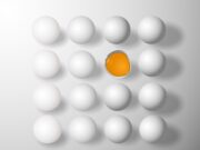 Tests du eggfast