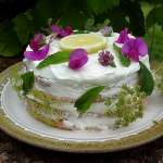 Nude cake keto au citron
