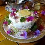 Nude cake keto au citron 19